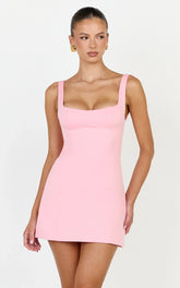 Zaria Mini Dress - Panel Dress in Pink