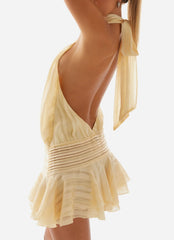 Amira Chiffon Mini Dress