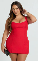 Aretha Mini Dress - Panel Dress in Red