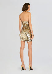 Nolia Sequin Embellished Dress