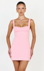 Zaria Mini Dress - Panel Dress in Pink